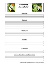 Aurorafalter-Steckbriefvorlage.pdf